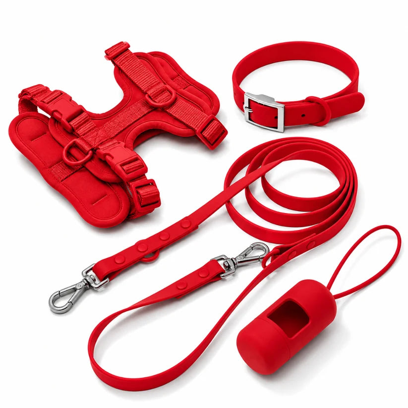 Complete Corgi-wandelset - tuig, halsband, riem en poepzakjeshouder
