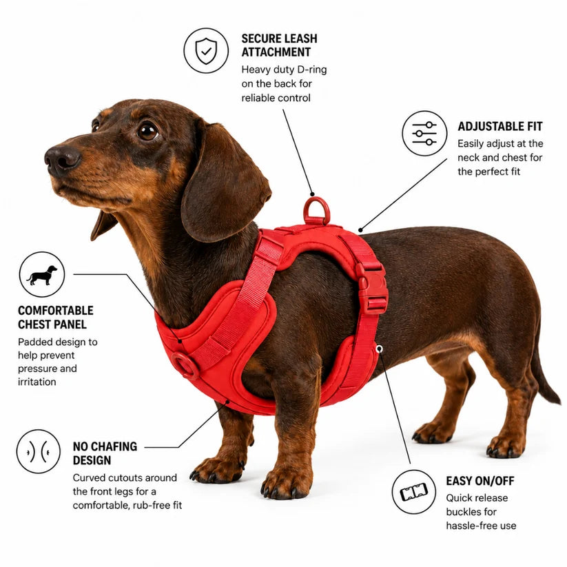 Doxie-tuig