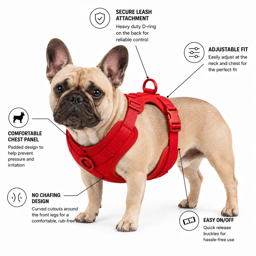 Frenchie-tuig