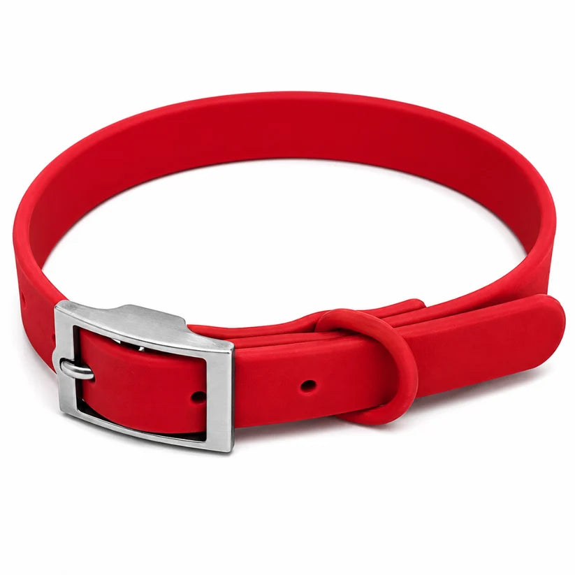 Halsband - voor zijn naampenning, in dezelfde kleur als je tuig