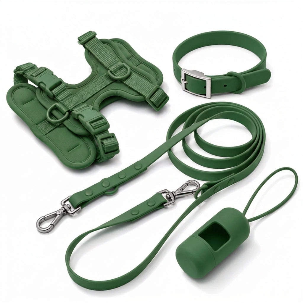 Complete Corgi-wandelset - tuig, halsband, riem en poepzakjeshouder