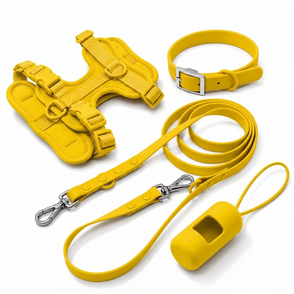 Complete Corgi-wandelset - tuig, halsband, riem en poepzakjeshouder