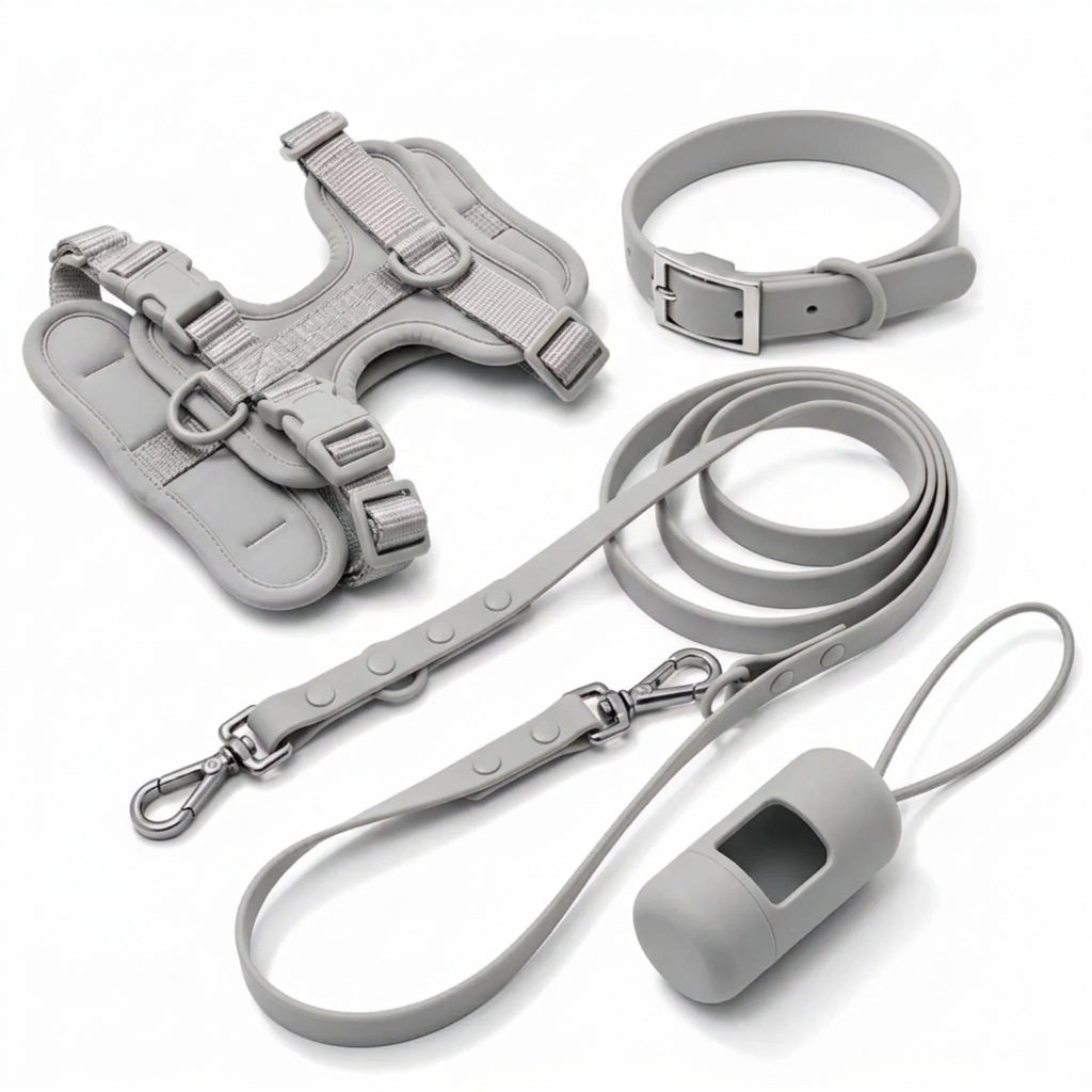 Complete Corgi-wandelset - tuig, halsband, riem en poepzakjeshouder