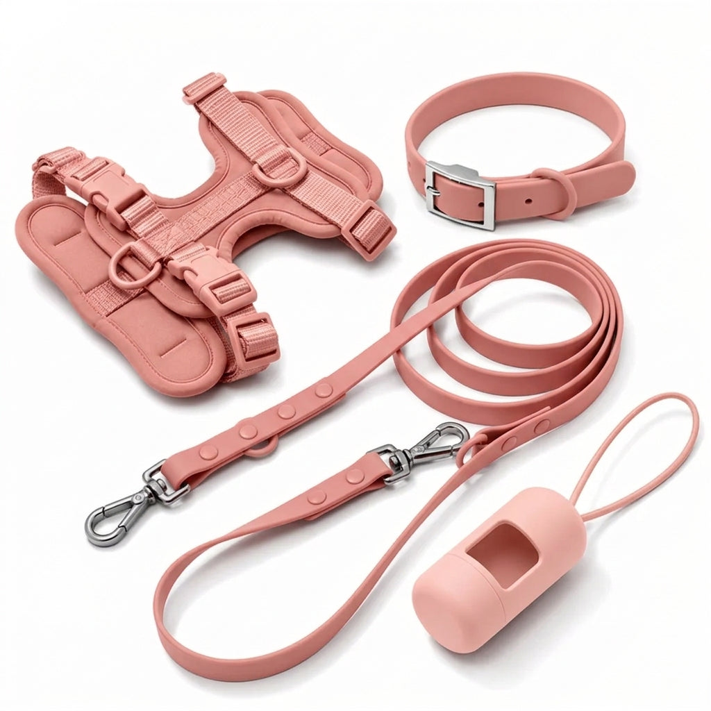 Complete Corgi-wandelset - tuig, halsband, riem en poepzakjeshouder