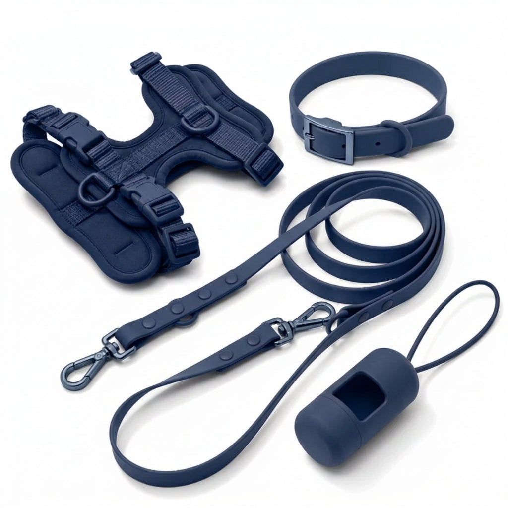Complete Corgi-wandelset - tuig, halsband, riem en poepzakjeshouder