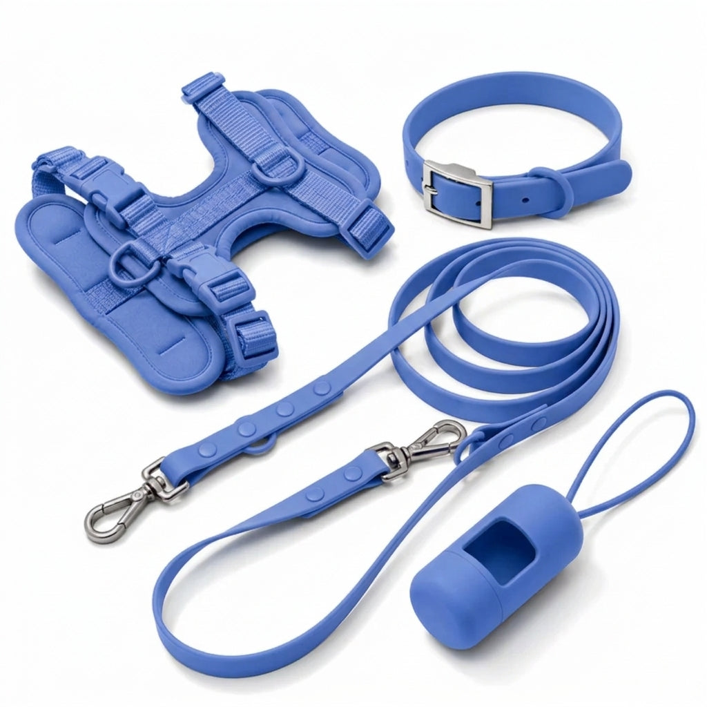Complete Corgi-wandelset - tuig, halsband, riem en poepzakjeshouder