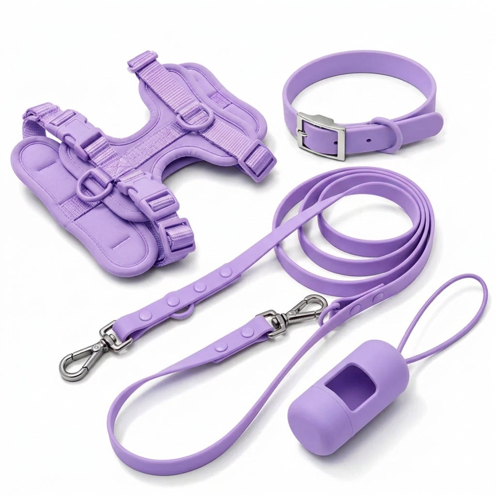 Complete Corgi-wandelset - tuig, halsband, riem en poepzakjeshouder